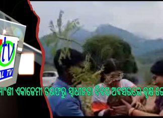 ନୃତ୍ୟାଂଶୀ ଏକାଡେମୀ ତରଫରୁ ସ୍ୱାଧୀନତା ଦିବସ ଅବସରରେ ବୃକ୍ଷ ରୋପଣ ||