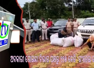 ଗଂଜେଇ ଚୋରା ଚାଲାଣବେଳେ ବ୍ରହ୍ମପୁର ଫାଷ୍ଟ୍ ଗେଟ୍ ଓ କୁକୁଡ଼ାଖଣ୍ଡି ନିକଟରେ ୨ଟି ଗାଡ଼ିରୁ ଅବକାରୀ ଗୋଇନ୍ଦା ବିଭାଗ ପକ୍ଷରୁ ୧୨୫ କେଜି ଗଂଜେଇ ଜବତ ||